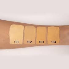 Guerniss Weightless Full Cover Fit Foundation ( 2In 1)